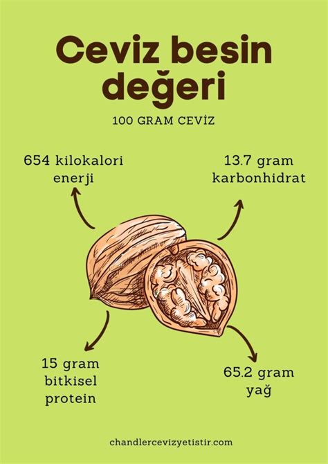 Cevizde Bulunan Vitaminler