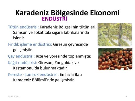 Fındık Endüstrisi ve Ekonomi