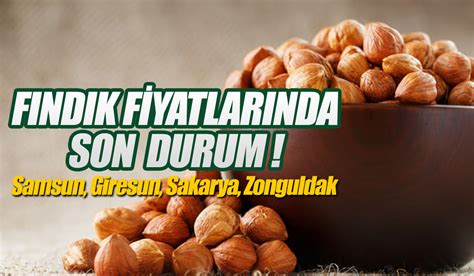 Fındık fiyatlarındaki güncel durum ve beklentiler