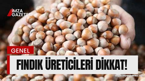 Fındık Kıracağı Alırken Nelere Dikkat Etmeli?