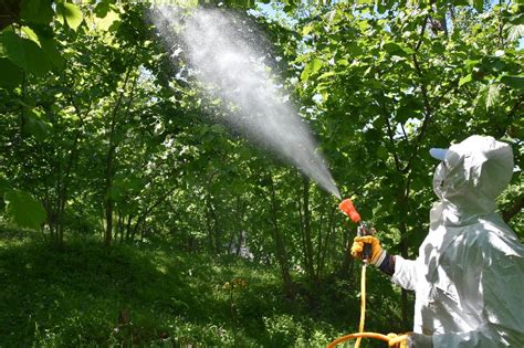 Hastalık ve zararlılarla mücadele