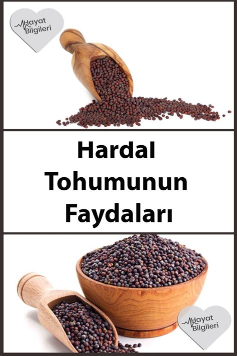 Sağlıklı Tohum Özellikleri